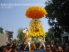 DSC09744 copy