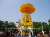 DSC09778 copy