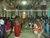 DSC08391 copy