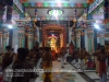DSC09043 copy