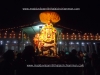 DSC09929 copy