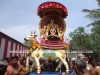 DSC07883 copy