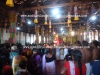 DSC07073 copy
