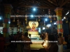 DSC07124 copy