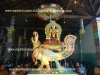 DSC07203 copy