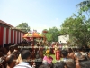 DSC07232 copy