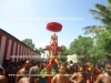 DSC07235 copy