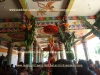 DSC07239 copy