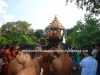 DSC07395 copy