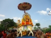 DSC07653 copy
