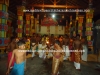 DSC07736 copy