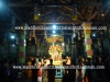DSC08025 copy