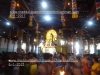 DSC09243 copy