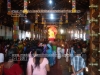 DSC09301 copy