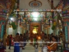 DSC09316 copy