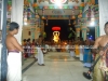 DSC09402 copy
