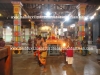DSC08635 copy