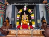 DSC08642 copy